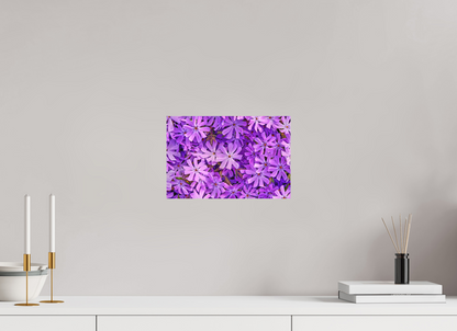 12 x 8″, Matte Metal Lavender Moss Phlox