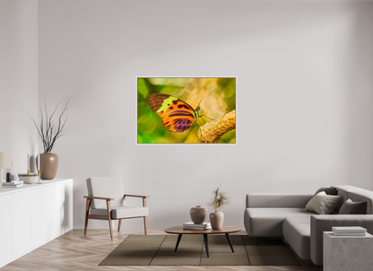 54 x 36″, Floater Frame Maple White Flamboyance