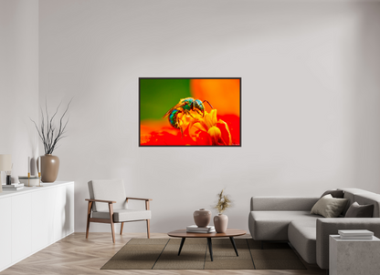 54 x 36″, Floater Frame Alder Brown Salt Licker