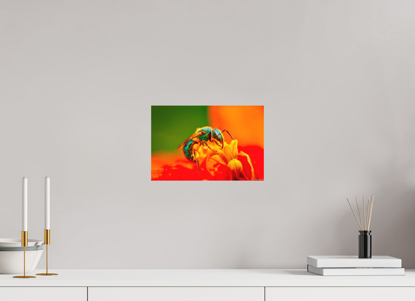12 x 8″, Forex Salt Licker