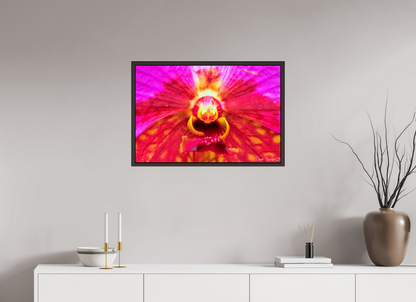 30 x 20″, Floater Frame Alder Brown Tie Dye Orchid