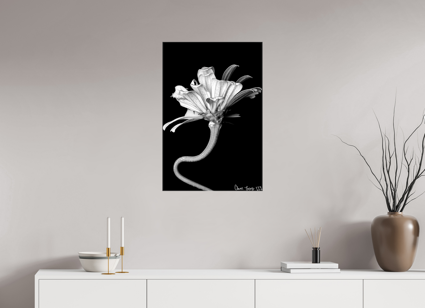 20 x 30″, Glossy Canvas Kingsnake’s Florescence