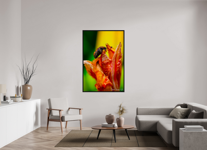 40 x 60″, Floater Frame Black Oak Perched Grave