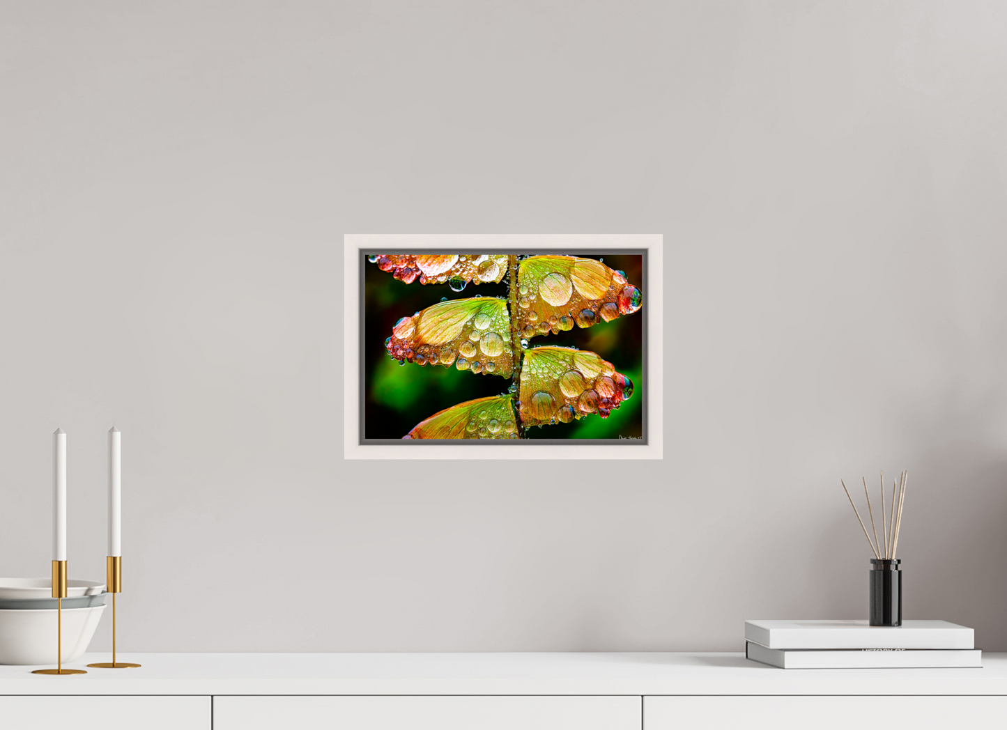 12 x 8″, Floater Frame Maple White Monarch’s Abundance