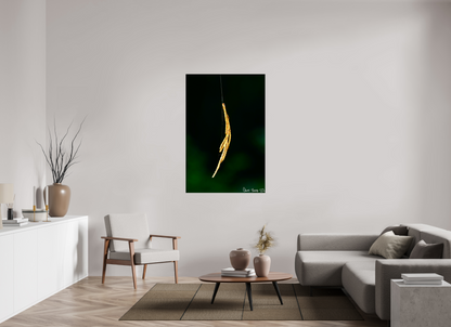 36 x 54″, Glossy Canvas Nature’s Tether