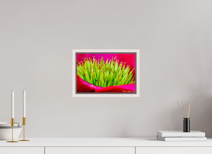 12 x 8″, Floater Frame Maple White Spiked