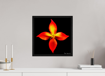 15 x 15″, Floater Frame Black Oak Blazing Compass