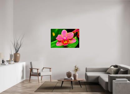 45 x 30″, Floater Frame Maple White Vigorous Orchid