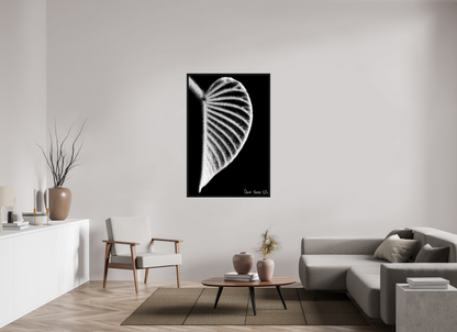 36 x 54″, Floater Frame Black Oak Onyx Organ