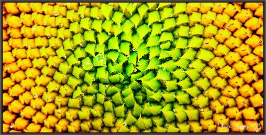 Main image Geometric Harmony