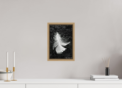8 x 12″, Floater Frame Natural Oak Feather On Ice
