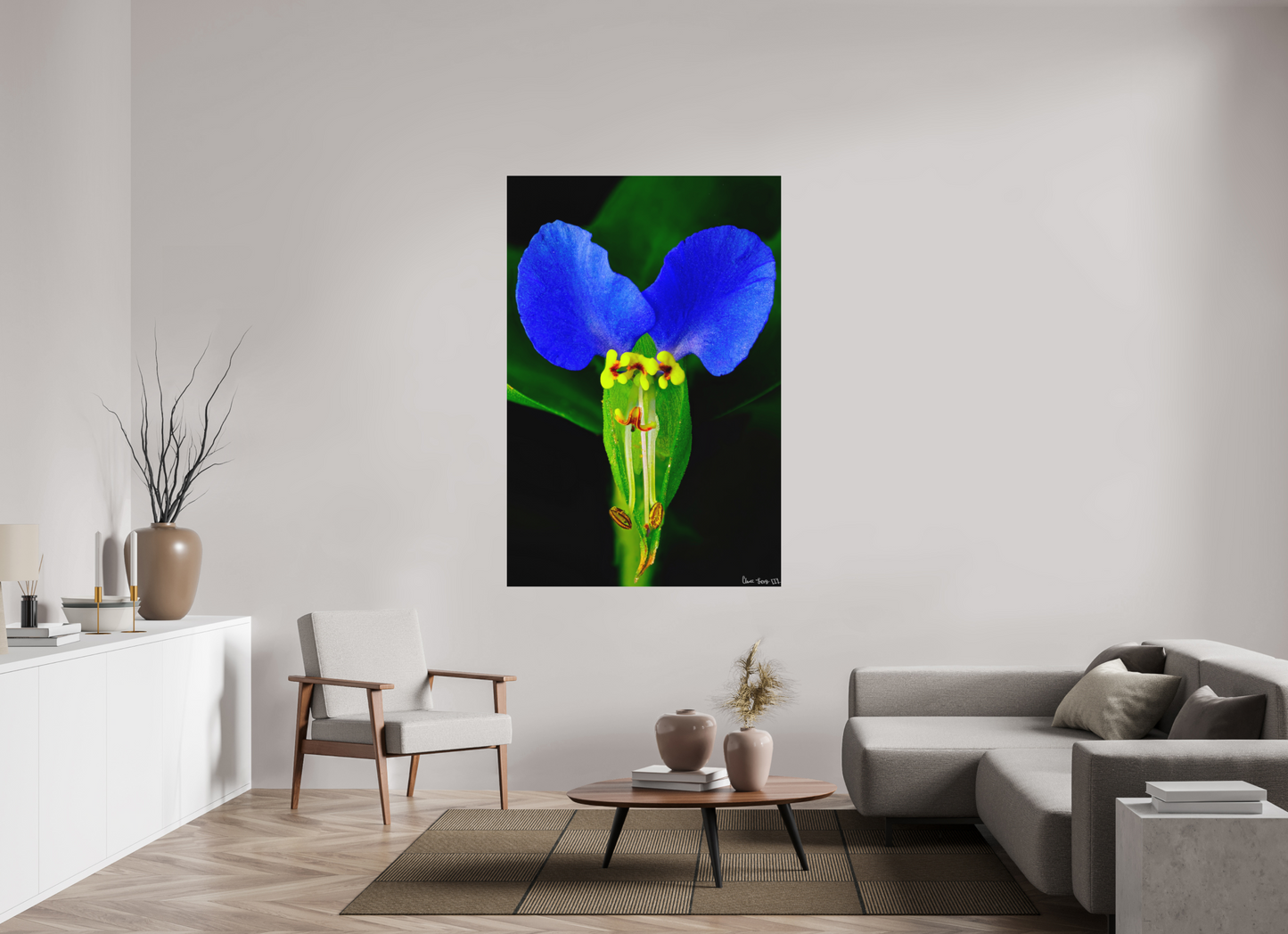 44 x 66″, Forex Asiatic Dayflower