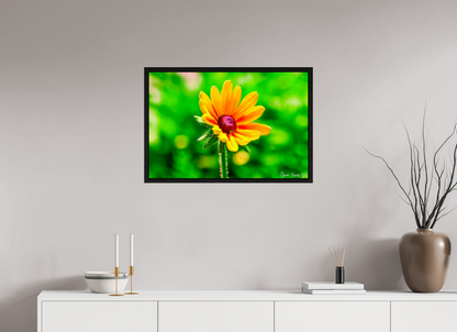 30 x 20″, Floater Frame Black Oak Stillness in the Blur