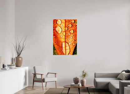 30 x 45″, Glossy Metal Transparency