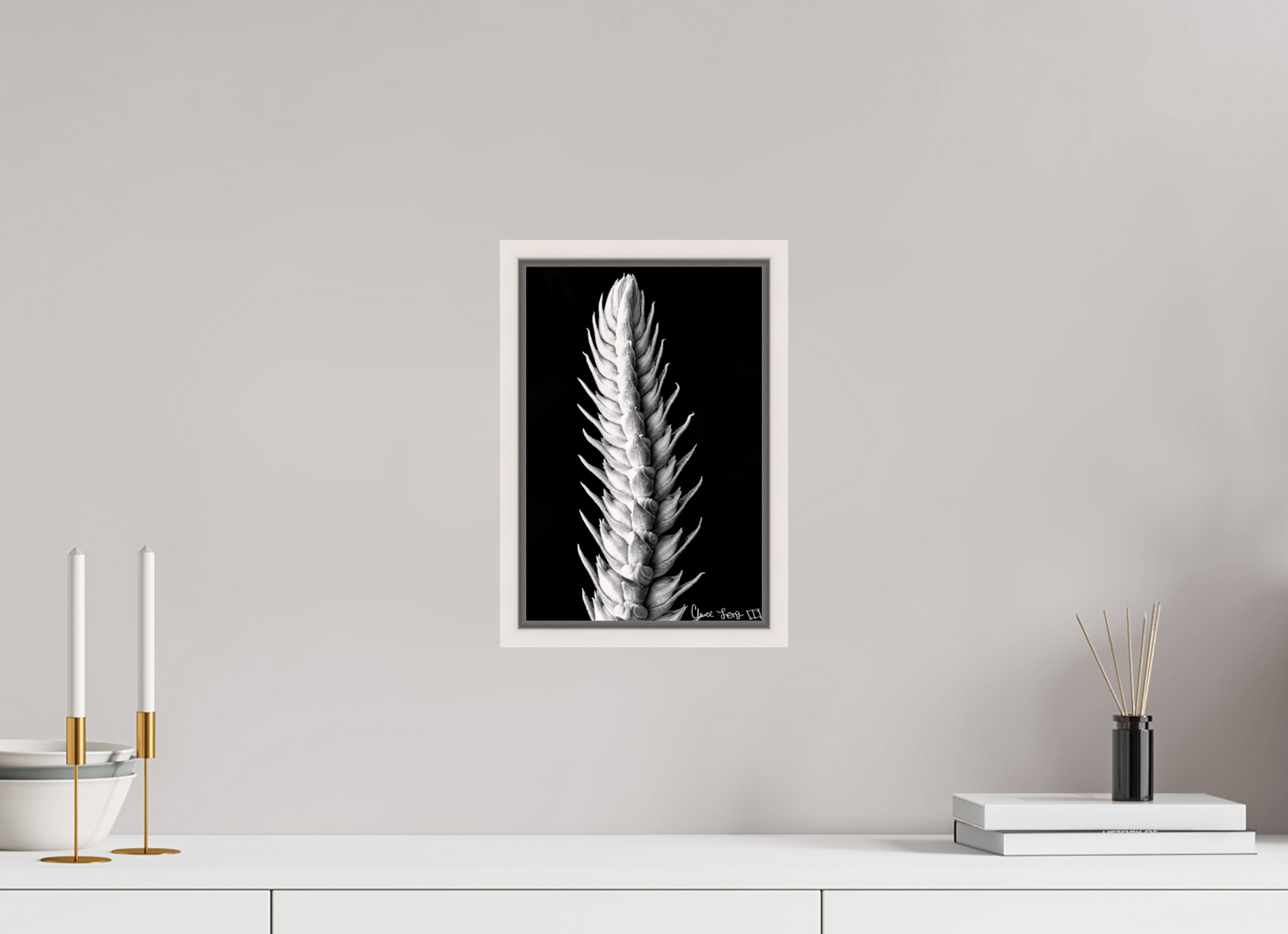 8 x 12″, Floater Frame Maple White Vertebrae