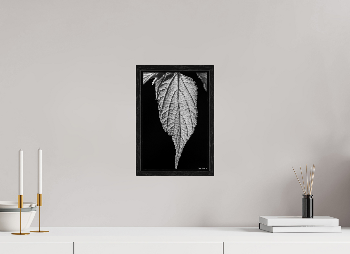 8 x 12″, Floater Frame Black Oak Reticulate Venation