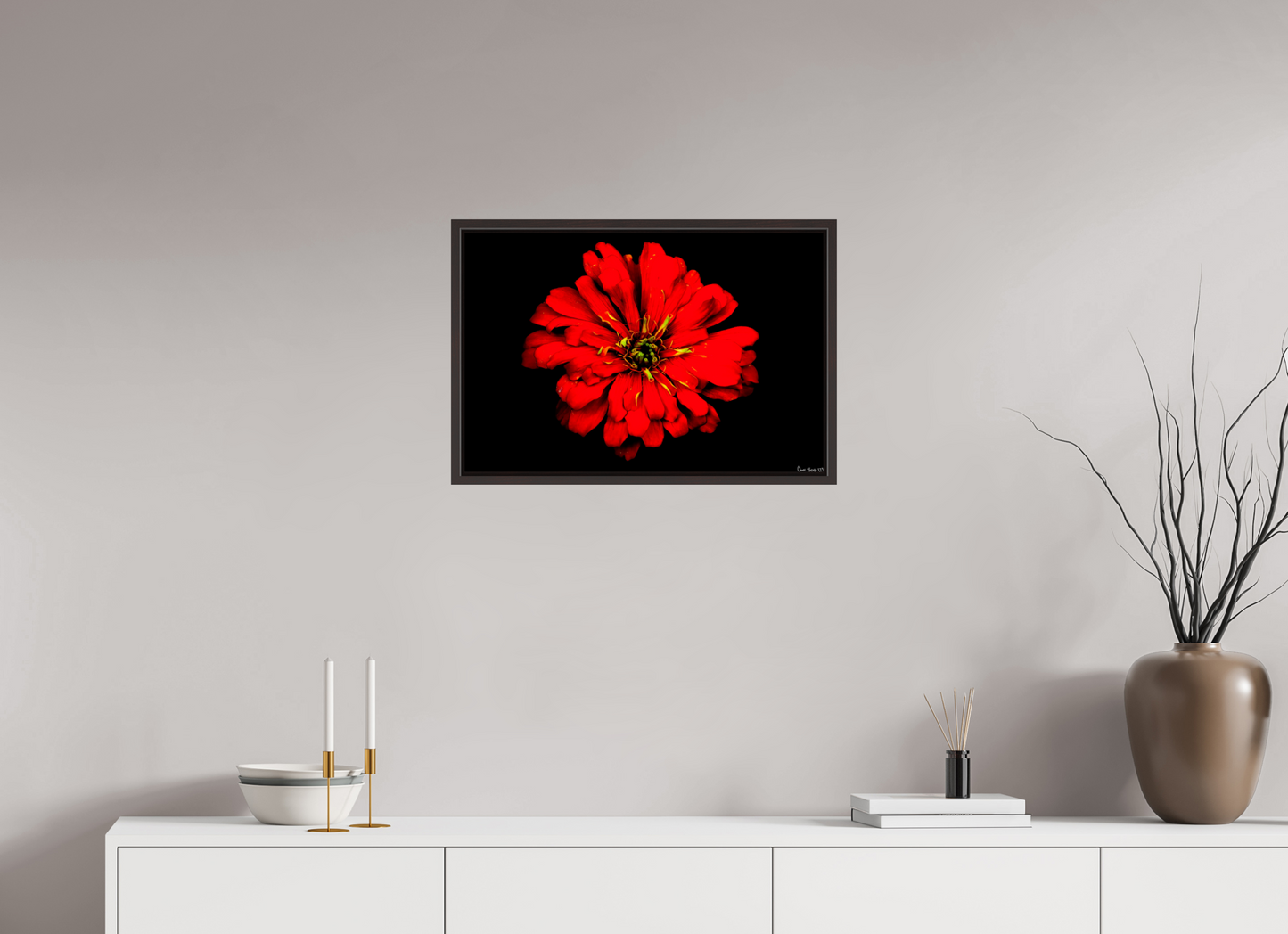24 x 16″, Floater Frame Alder Brown Zinnia of Fire