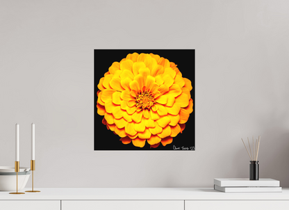 15 x 15″, Matte Canvas Midnight Sun