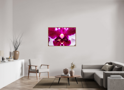 45 x 30″, Floater Frame Natural Oak Droid Orchid