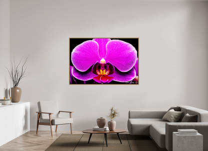 66 x 44″, Floater Frame Natural Oak Magnificence