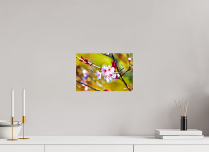 12 x 8″, Glossy Metal Cherry Blossom