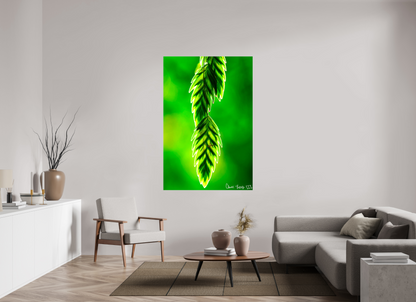 44 x 66″, Glossy Canvas Harmonic Trinity