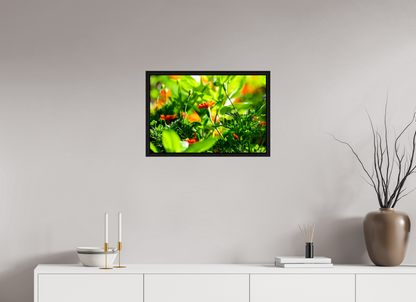 24 x 16″, Floater Frame Black Oak Prominence