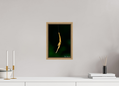 8 x 12″, Floater Frame Natural Oak Nature’s Tether