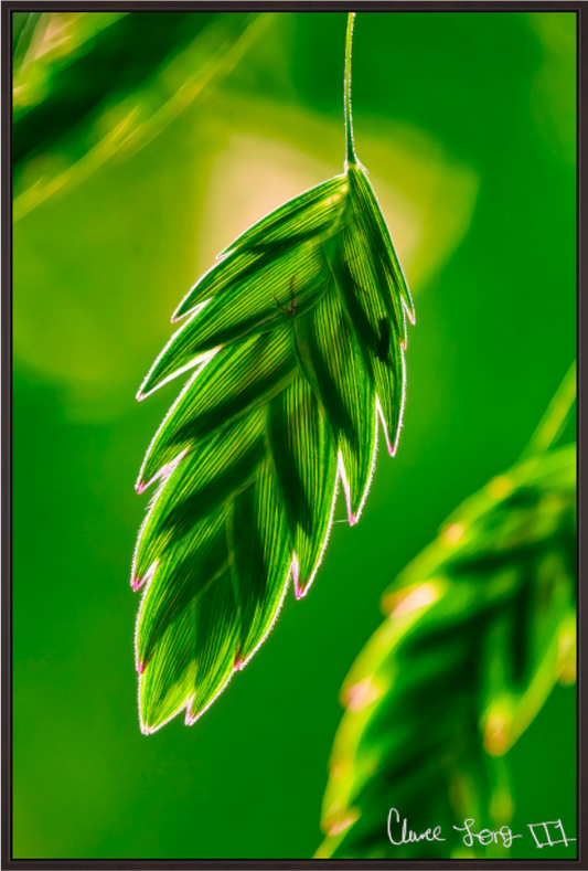 Main image Serrated Kunai