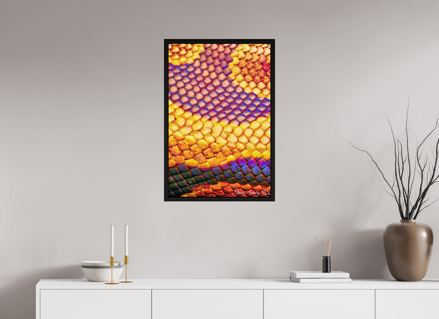 20 x 30″, Floater Frame Black Oak Python’s Iridescence