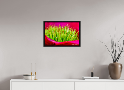 24 x 16″, Floater Frame Black Oak Spiked