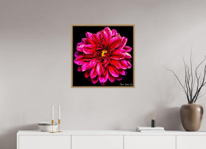 25 x 25″, Floater Frame Natural Oak Droplets Galore