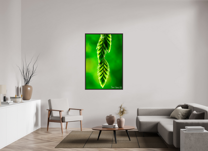 36 x 54″, Floater Frame Alder Brown Harmonic Trinity