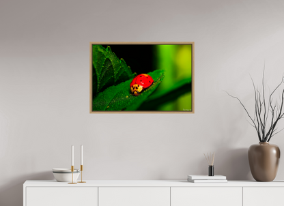 30 x 20″, Floater Frame Natural Oak Our Lady Bird