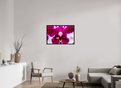 36 x 24″, Floater Frame Black Oak Droid Orchid