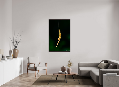 36 x 54″, Floater Frame Alder Brown Nature’s Tether