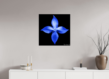 25 x 25″, Acrylic Halcyon Compass