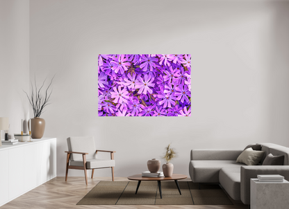 66 x 44″, Matte Canvas Lavender Moss Phlox
