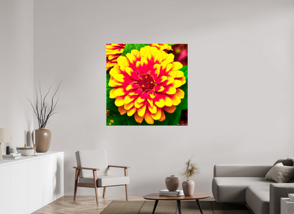 45 x 45″, Glossy Canvas Radiance