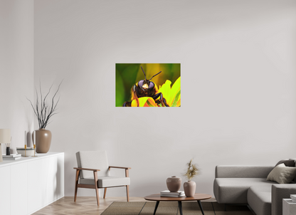 36 x 24″, Matte Metal The Curious Bumblebee