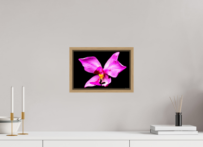 12 x 8″, Floater Frame Natural Oak Efflorescence