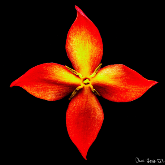 Main image Blazing Compass