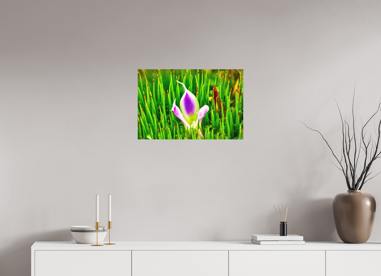 24 x 16″, Matte Metal Maverick