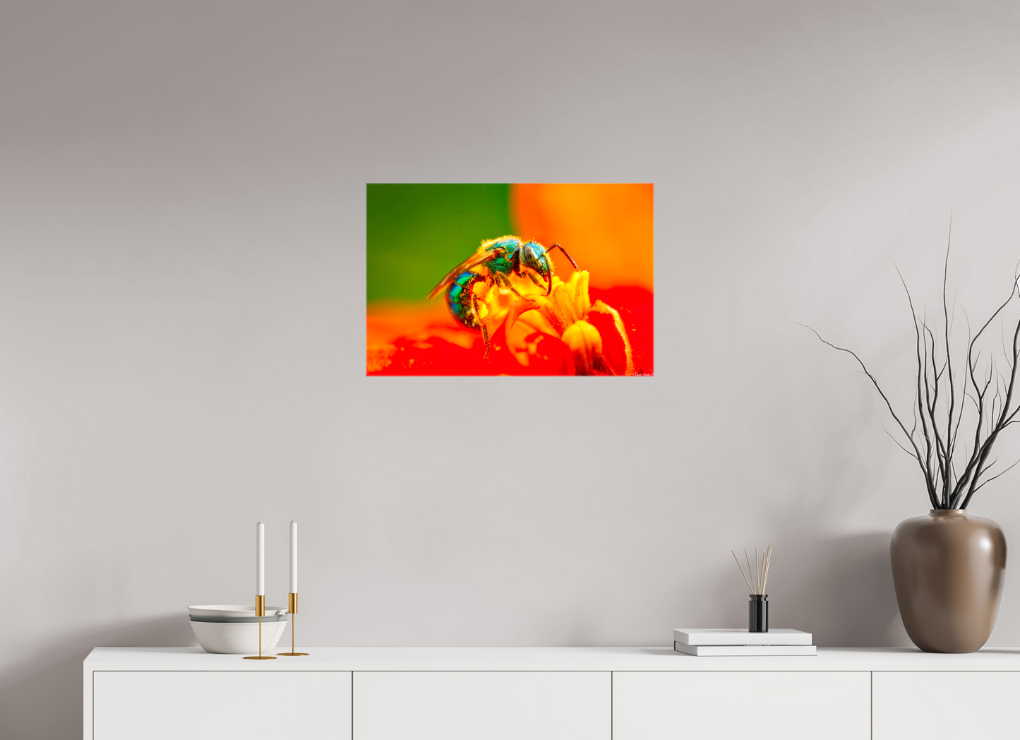 24 x 16″, Glossy Canvas Salt Licker