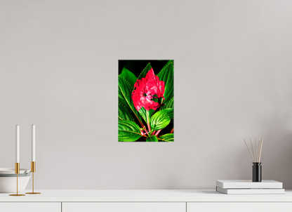 8 x 12″, Glossy Canvas Subsume