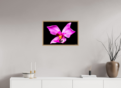 24 x 16″, Floater Frame Natural Oak Efflorescence