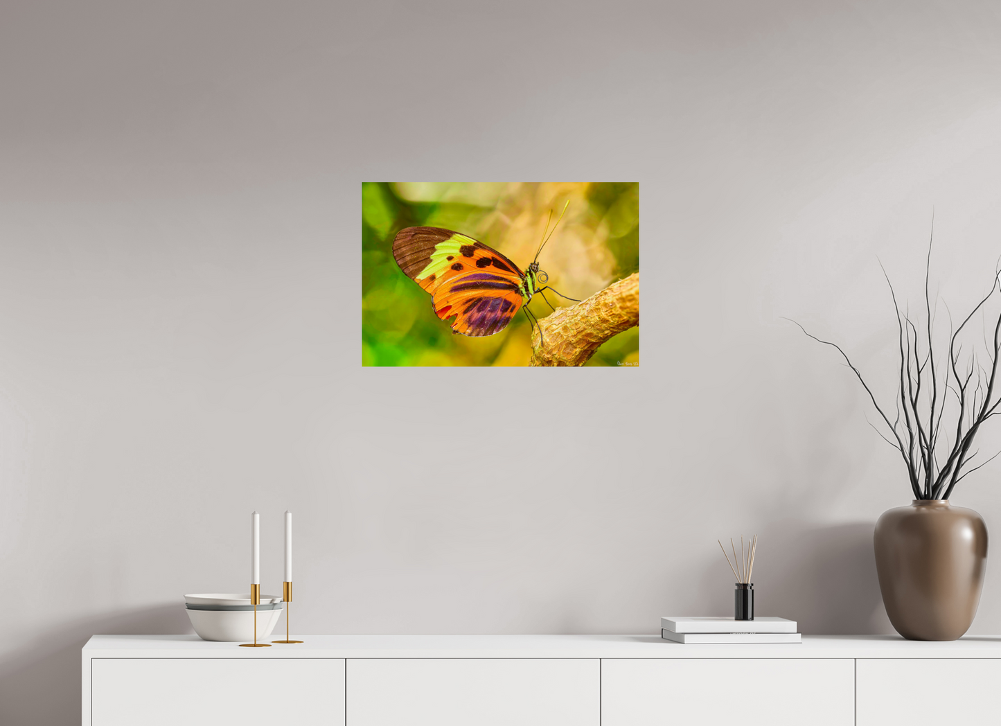 24 x 16″, Photo Print on Aluminum Backing Flamboyance