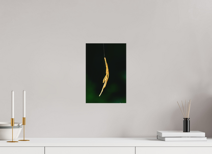 8 x 12″, Matte Canvas Nature’s Tether