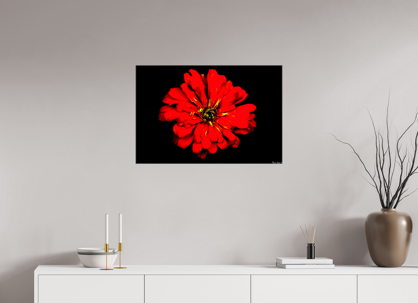 30 x 20″, Glossy Canvas Zinnia of Fire