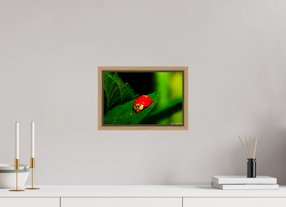 12 x 8″, Floater Frame Natural Oak Our Lady Bird